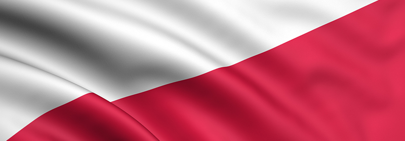 DMK-Poland